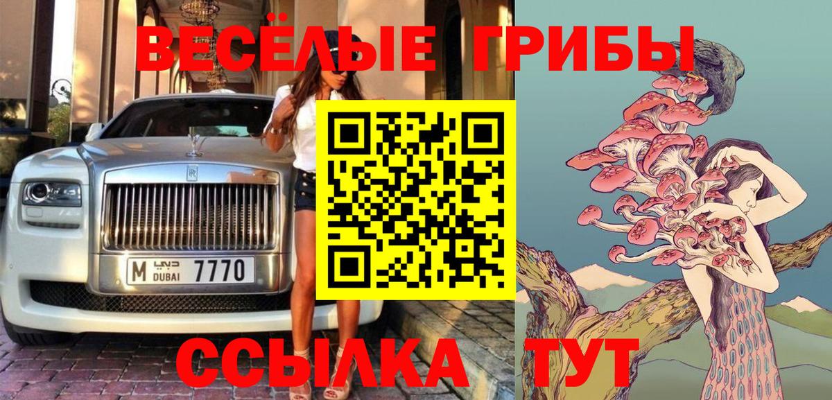 Псилоцибиновые грибы Magic Shrooms  Галлюциногенные грибы GOLDEN TEACHER  Городец  Вход с VPN 